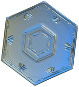 snowflake 5 lis